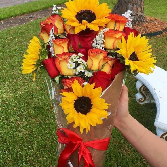 Meet your Posher, Kitana - Picture 1 of 1